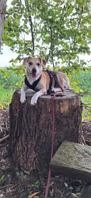 Dana (Loredana) | Foto: privat