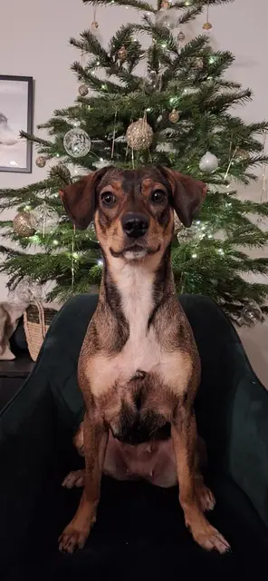 Frieda | Foto: privat