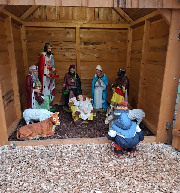 Ausschnitt aus dem Original-Foto, das ich am 12.12.2025 gemacht habe. | Foto: M. A.