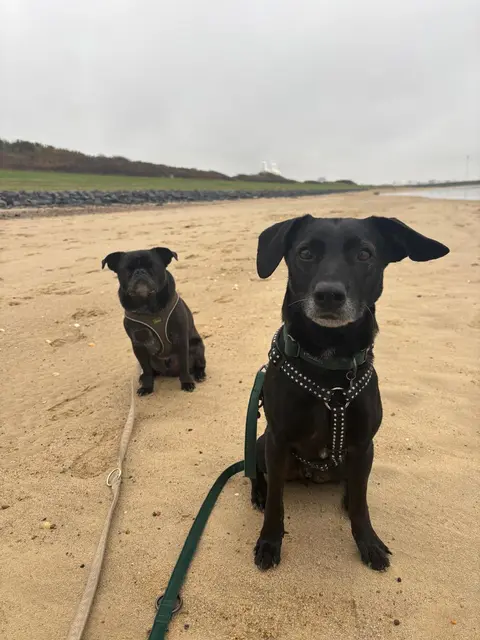 Blacky | Foto: privat