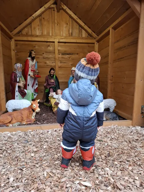 Ausschnitt aus dem Original-Foto, das ich am 12.12.2025 gemacht habe. | Foto: M. A.