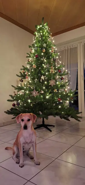 Dana (Loredana) | Foto: privat