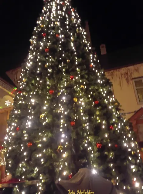 Weihnachtsbaum im Schloßhof von Schloß Hofhegnenberg. | Foto: Iris Alefelder