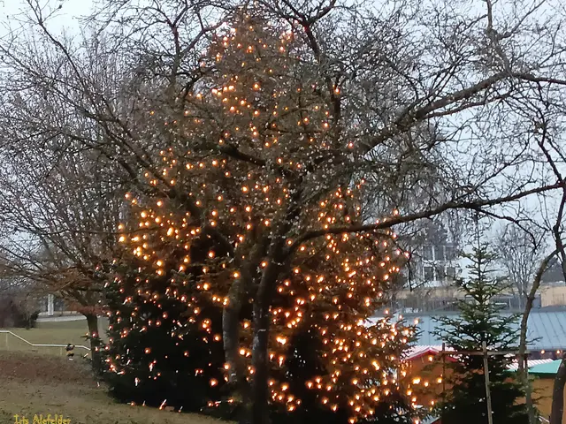 Foto: Iris Alefelder