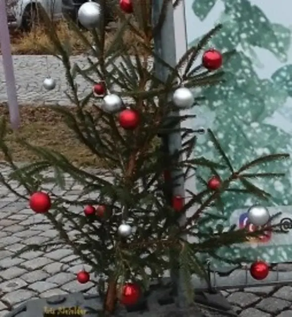 Foto: Iris Alefelder