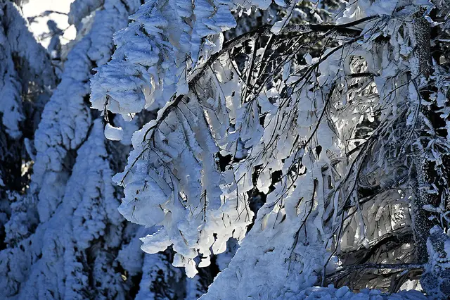 Eisige Landschaften auf dem Gipfel des Brockens