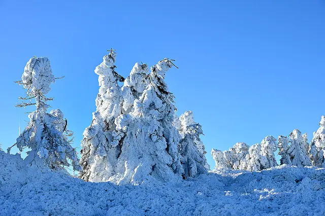 Eisige Landschaften auf dem Gipfel des Brockens