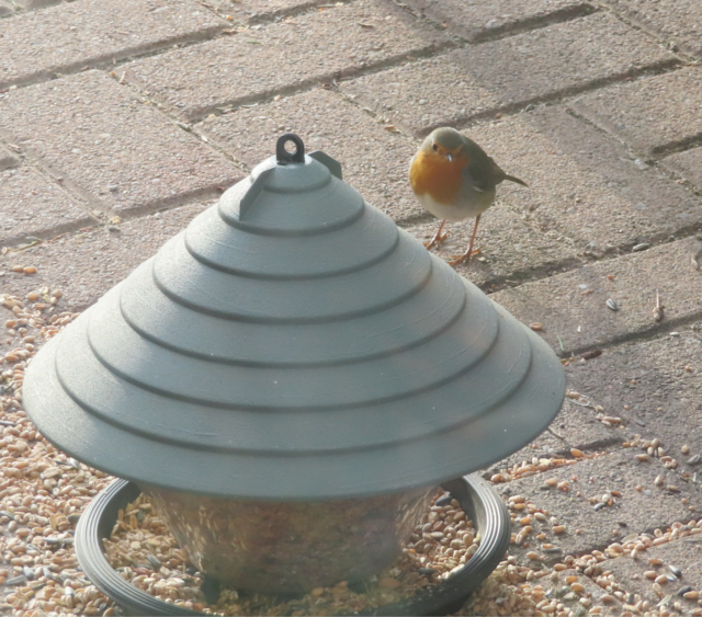 Ausschnitt aus dem Original-Foto. | Foto: M. A.