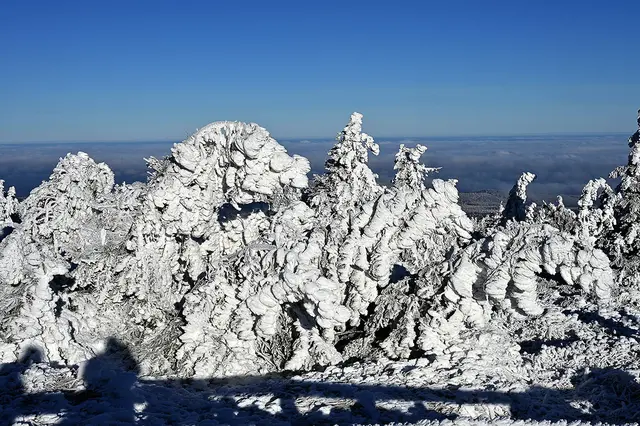 Eisige Landschaften auf dem Gipfel des Brockens