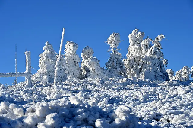 Eisige Landschaften auf dem Gipfel des Brockens