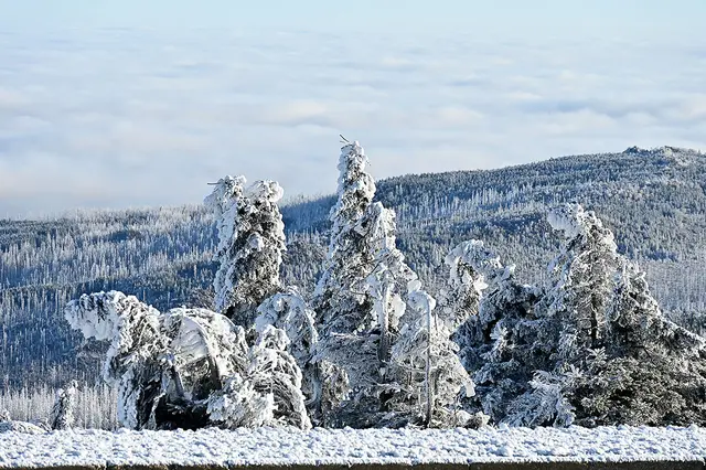 Eisige Landschaften auf dem Gipfel des Brockens