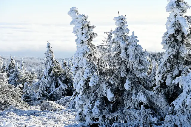 Eisige Landschaften auf dem Gipfel des Brockens