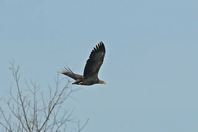 Foto: Copyright Andreas Schäfer