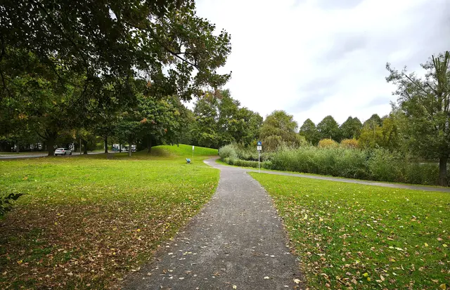 Schön angelegter Weg | Foto: Shima Mahi