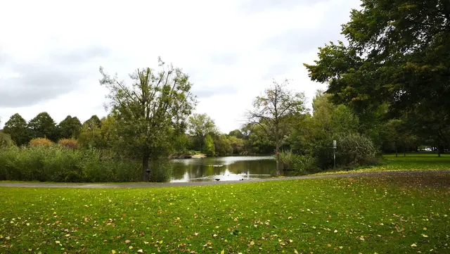 Wasservögel fühlen sich hier wohl. | Foto: Shima Mahi