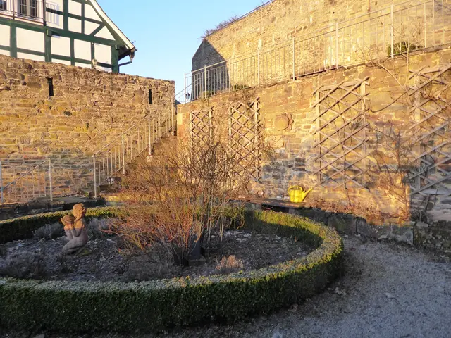 Rosengarten 2025-52, 28.12.2025.