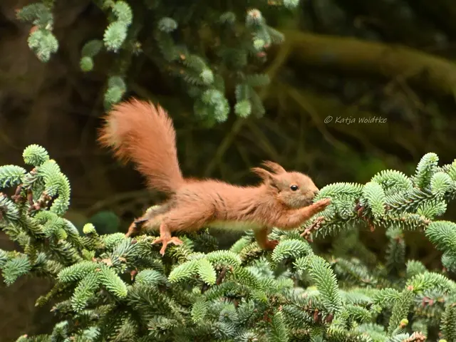 myheimat 2025 - ein Blick zurück (Foto: Katja Woidtke) | Foto: Katja Woidtke