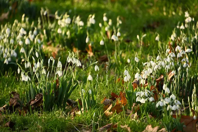 myheimat 2025 - ein Blick zurück (Foto: Katja Woidtke) | Foto: Katja Woidtke