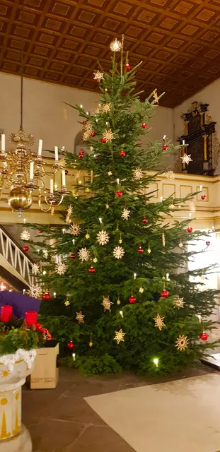 Gestorfer Weihnachtsbaum am 26.12.25