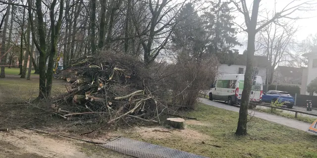 Radikale Rodungsarbeiten | Foto: Foto privat
