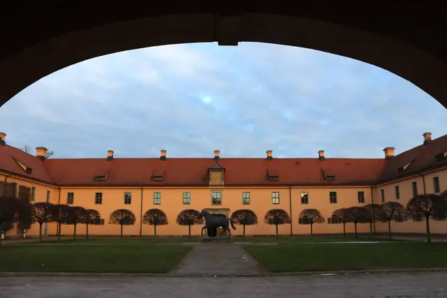 Gestüt Moritzburg