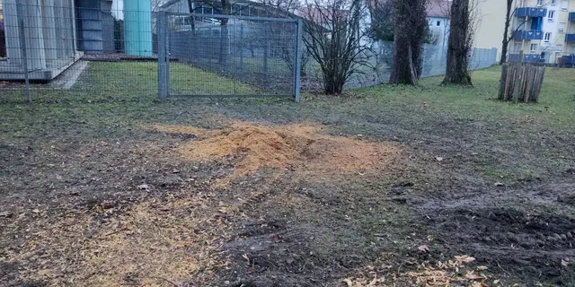 Hier standen die Linden 
Schwerde Fahrzeuge und Maschinen haben den Boden verdichtet und damit geschädigt | Foto: Foto privat