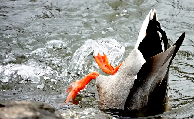 "Smoke" on the water?
