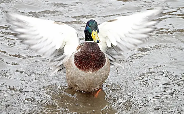Die Konkurrenz ist hellwach