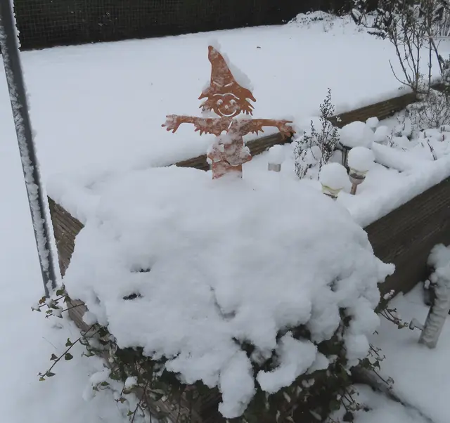 Ein Teil von unserem Hochbeet am 02.01.2026 (Ausschnitt aus dem Original-Foto). | Foto: M. A.