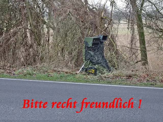Standort nicht optimal &gt; fehlt das Blattwerk der Sträucher.