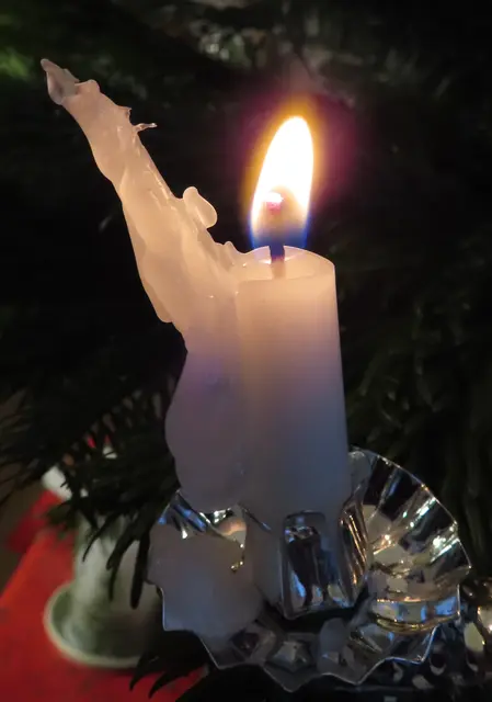 ... an unserem diesjährigen Weihnachtsbaum (2025 / 2026) gehabt. | Foto: M. A.