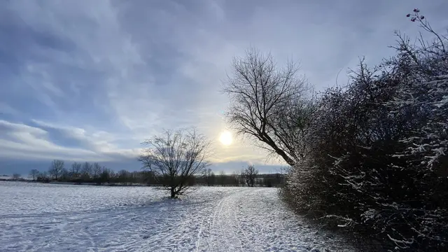 Die vielen Spuren im Schnee deuten darauf hin, dass der Weg zwischen der verschneiten Mähwiese und der aufblinkenden Windschutzhecke gern für einen Winterspaziergang genutzt wird. Foto: Helmut Kuzina