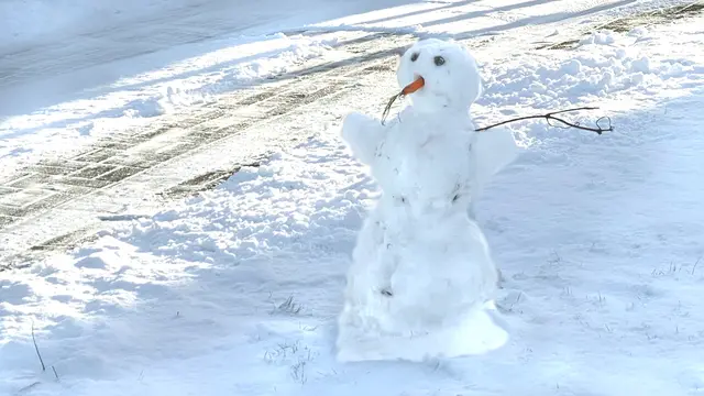 In Nordwestmecklenburg liegt genug Pulverschnee, der mit viel Mühe dennoch als Baustoff für einen etwa einen Meter hohen Schneemann reicht. Die Schneefigur mit der echten Karottennase sorgt für ein Lächeln der Passanten beim Winterspaziergang. Foto: Helmut Kuzina
