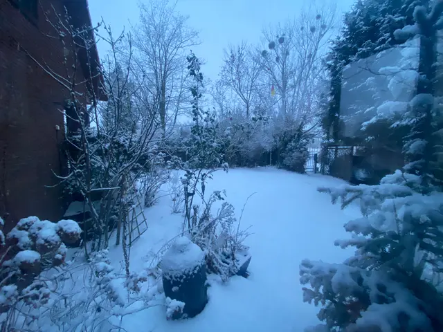 Am nächsten Tag voll Schnee