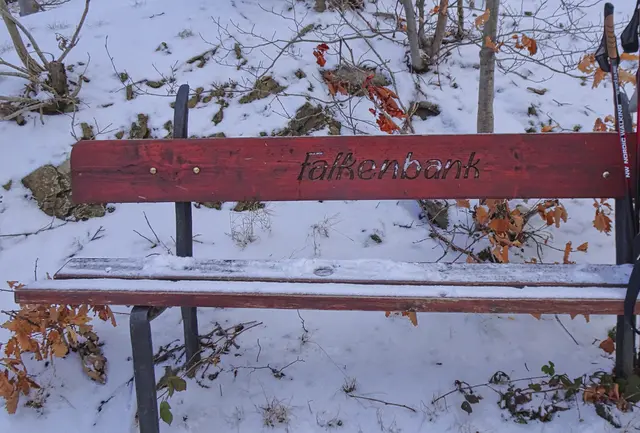 vom  Falkenfang  hat man eine schöne Aussicht