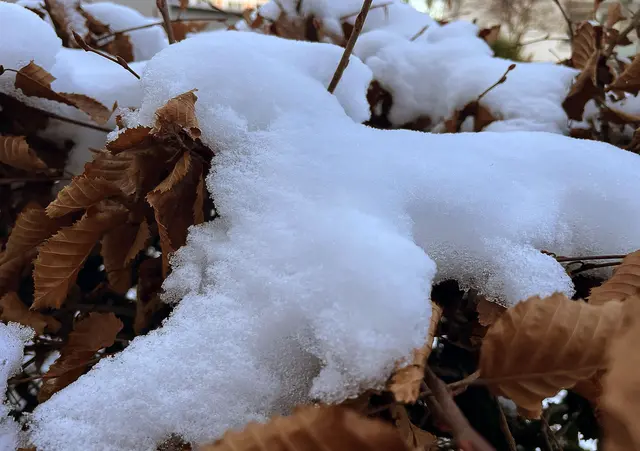 Hannover bleibt erst einmal winterlich