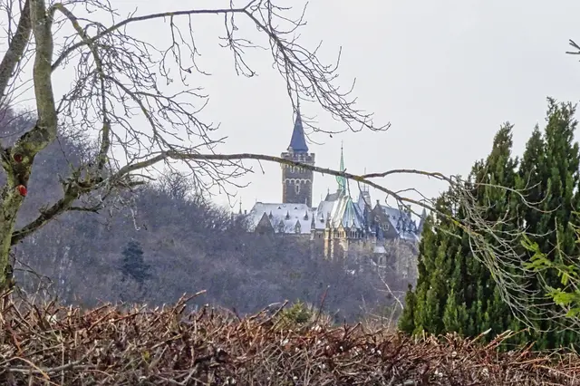 Blick vom Tünneckenberg auf das Schloss