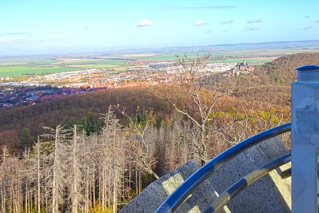 Blick vom Kaiserturm auf Wernigerode