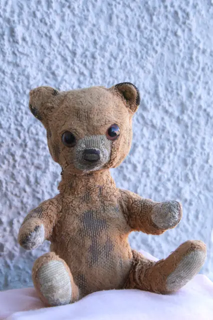 Dieses Bärchen wurde offensichtlich sehr geliebt und hat deshalb an manchen Stellen gar kein Fell mehr.  | Foto: Hilde Reiter