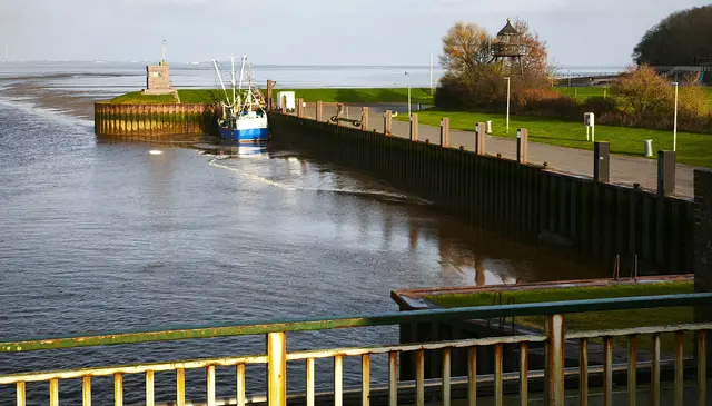 Einsames Schiff | Foto: Shima Mahi