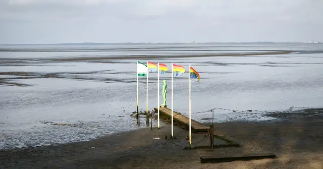 Skulptur "Jade" am Strand | Foto: Shima Mahi