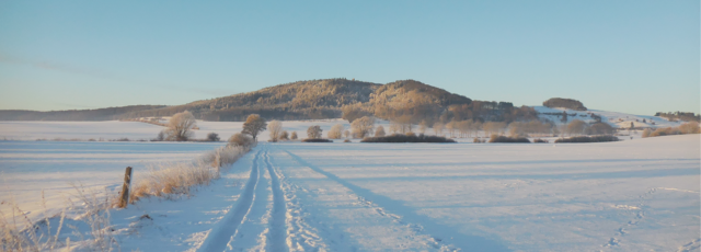 Am 19.01.2017 habe ich dieses Foto gemacht. Es zeigt den "Eisenberg" mit dem "Georg-Viktor-Turm" bei Goldhausen (Korbacher Ortsteil). Das Storchennest gab es da noch nicht, den Weg bin ich aber schon vorher öfter gegangen.   | Foto: M. A.