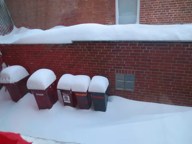 Die Mülltonnen haben schöne Mützen auf.