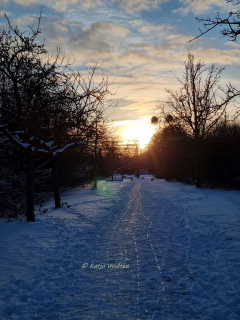 So schön ist der Winter im Norden von Hannover (Foto: Katja Woidtke)

Schneeimpressionen aus Kaltenweide | Foto: Katja Woidtke
