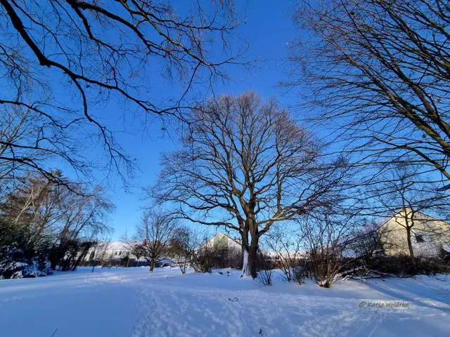 So schön ist der Winter im Norden von Hannover (Foto: Katja Woidtke)

Schneeimpressionen aus Kaltenweide | Foto: Katja Woidtke
