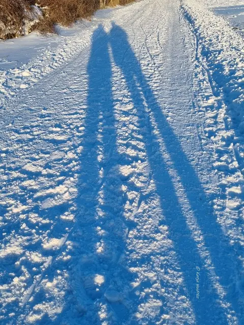 So schön ist der Winter im Norden von Hannover (Foto: Katja Woidtke)

Schneeimpressionen aus Kaltenweide | Foto: Katja Woidtke