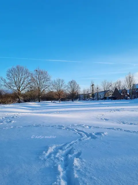 So schön ist der Winter im Norden von Hannover (Foto: Katja Woidtke)

Schneeimpressionen aus Kaltenweide | Foto: Katja Woidtke