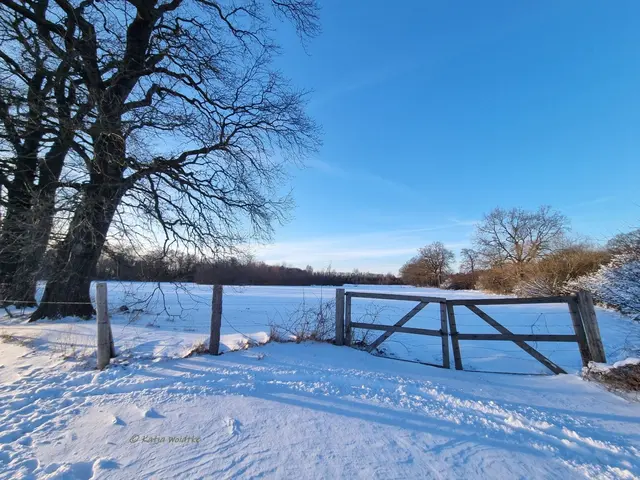 So schön ist der Winter im Norden von Hannover (Foto: Katja Woidtke)

Schneeimpressionen aus Kaltenweide | Foto: Katja Woidtke