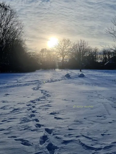 So schön ist der Winter im Norden von Hannover (Foto: Katja Woidtke)

Schneeimpressionen aus Kaltenweide | Foto: Katja Woidtke