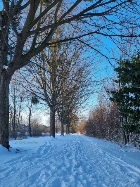 So schön ist der Winter im Norden von Hannover (Foto: Katja Woidtke)

Schneeimpressionen aus Kaltenweide | Foto: Katja Woidtke